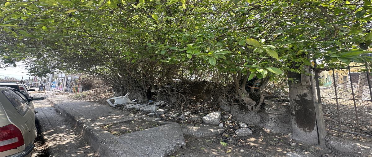 Foto de terreno habitacional en venta en palafox , enrique cárdenas gonzalez, tampico, tamaulipas, 31145242 No. 03