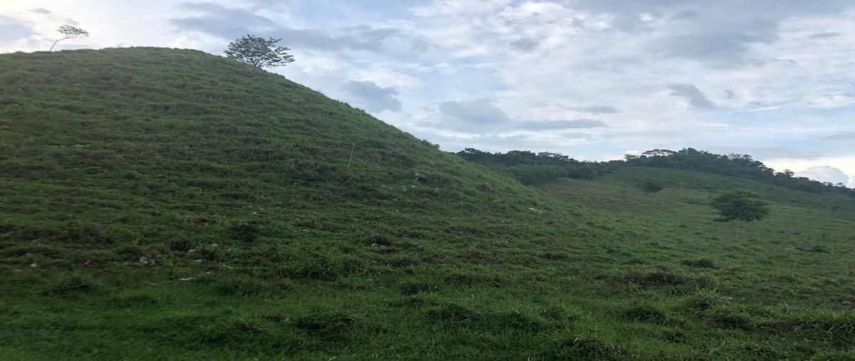 Foto de terreno habitacional en venta en  , palenque centro, palenque, chiapas, 26913461 No. 03