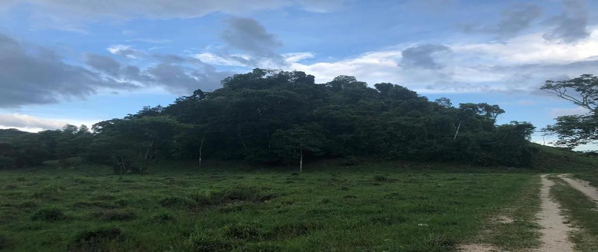 Foto de terreno habitacional en venta en  , palenque centro, palenque, chiapas, 26913461 No. 04