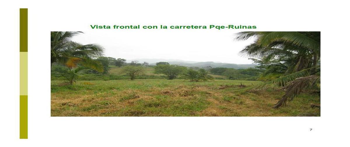 Foto de terreno comercial en venta en  , palenque centro, palenque, chiapas, 30303252 No. 03
