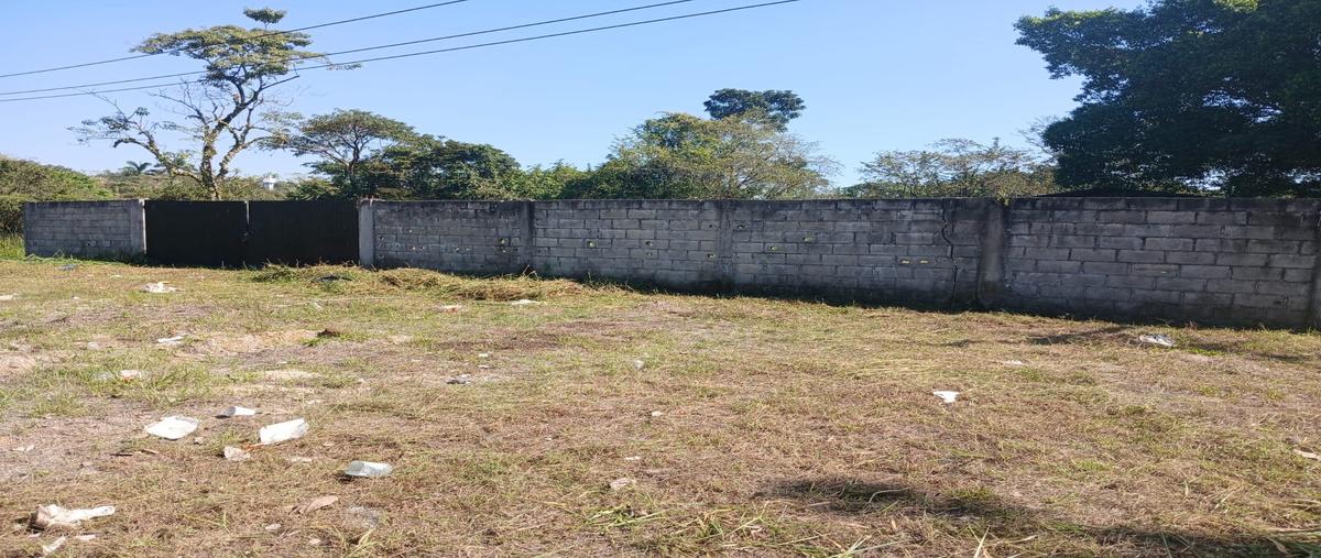 Foto de terreno habitacional en , palenque centro, palenque, chiapas, 0 foto 05 Foto de terreno habitacional en venta en , palenque centro, palenque, chiapas, 0 No. 05