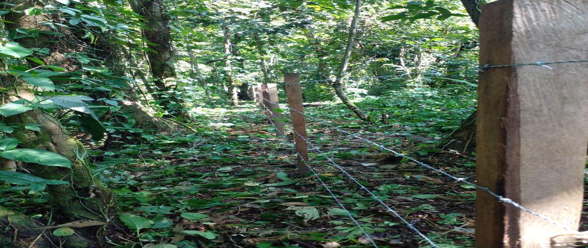 Foto de terreno habitacional en venta en palenque whi307605, ach lum maya, palenque, chiapas, 28062890 No. 04