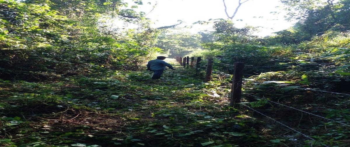 Foto de terreno habitacional en venta en palenque whi307605, ach lum maya, palenque, chiapas, 0 No. 03