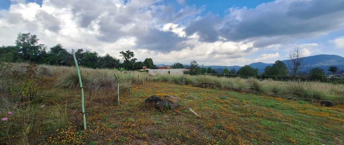 Foto de terreno habitacional en venta en palito verde , cuadrilla de dolores, valle de bravo, méxico, 0 No. 03