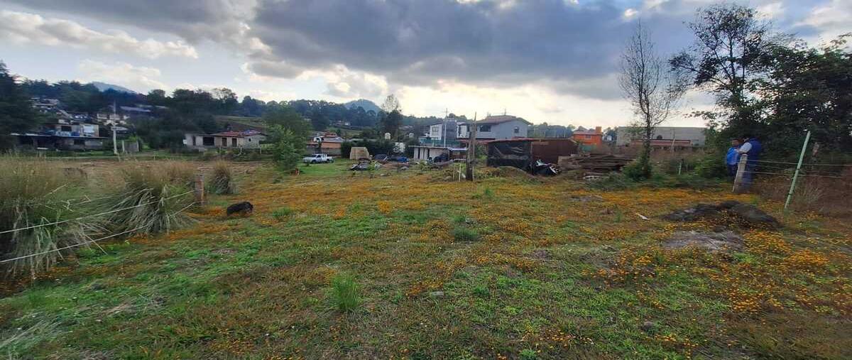 Foto de terreno habitacional en venta en palito verde , cuadrilla de dolores, valle de bravo, méxico, 0 No. 05