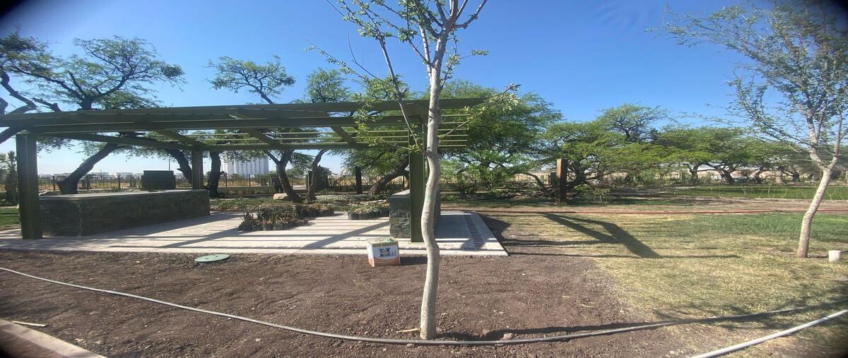 Foto de terreno habitacional en venta en palma cyca salitre , el salitre, querétaro, querétaro, 0 No. 05