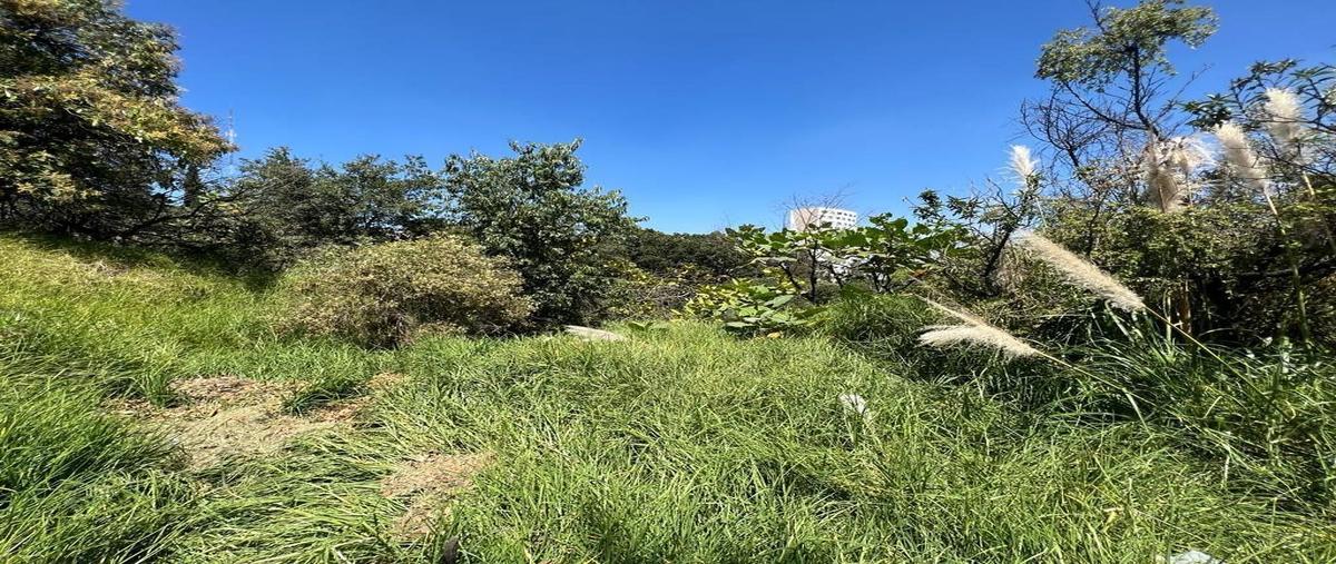 Foto de terreno habitacional en venta en palma de abanico , bosques de las palmas, huixquilucan, méxico, 27076268 No. 03