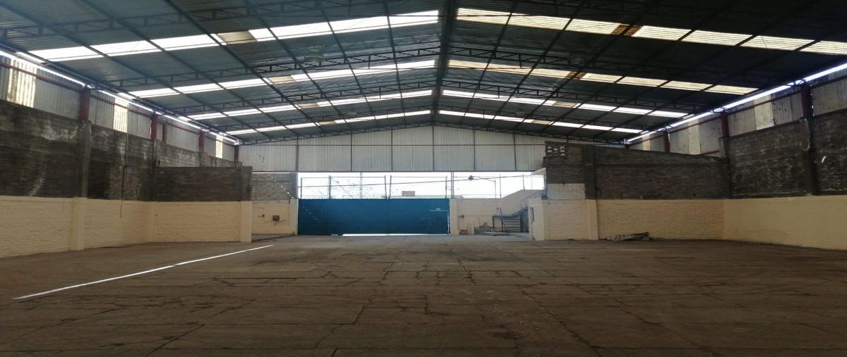 Foto de bodega en renta en palma , pedregal de las fuentes, jiutepec, morelos, 24166265 No. 04