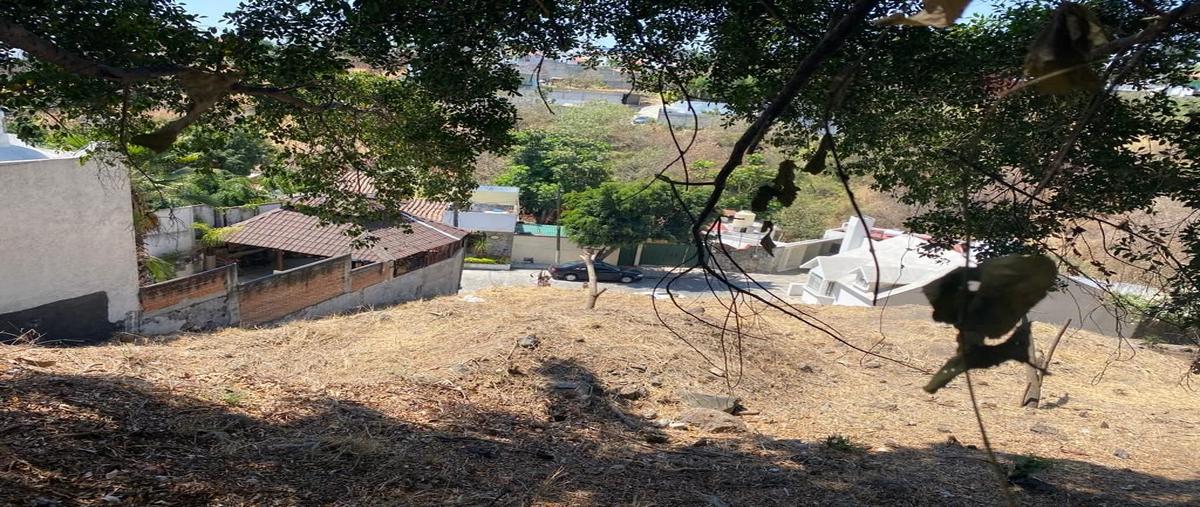 Foto de terreno habitacional en venta en palma real , palmira tinguindin, cuernavaca, morelos, 0 No. 04