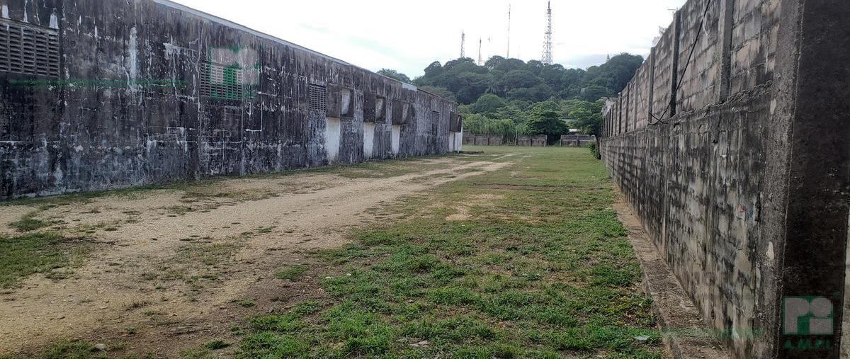Foto de terreno habitacional en renta en  , palma sola, coatzacoalcos, veracruz de ignacio de la llave, 9091788 No. 05