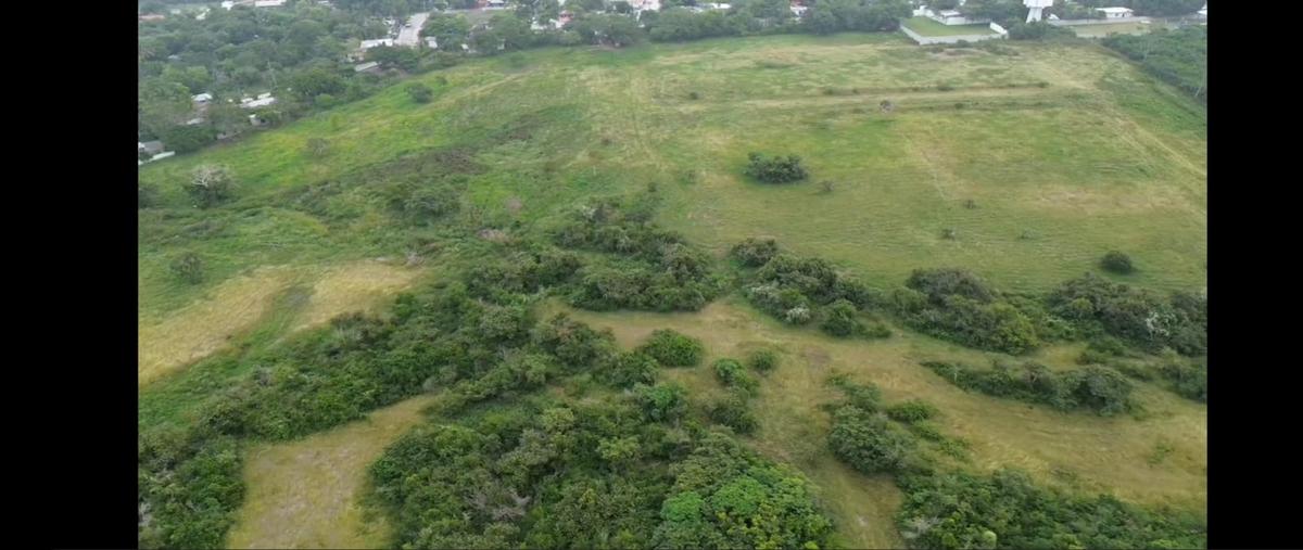 Foto de terreno habitacional en venta en palma , tampico alto centro, tampico alto, veracruz de ignacio de la llave, 28916295 No. 03