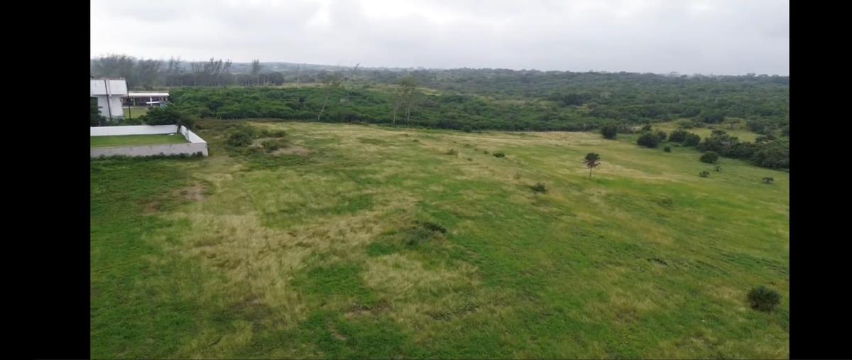 Foto de terreno habitacional en venta en palma , tampico alto centro, tampico alto, veracruz de ignacio de la llave, 28916295 No. 04