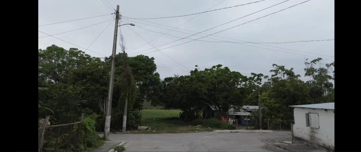 Foto de terreno habitacional en venta en palma , tampico alto centro, tampico alto, veracruz de ignacio de la llave, 28916295 No. 05