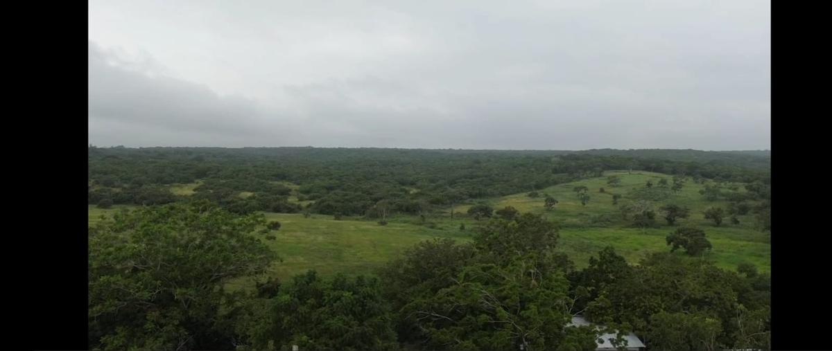 Foto de terreno habitacional en venta en palma , tampico alto centro, tampico alto, veracruz de ignacio de la llave, 28916298 No. 04
