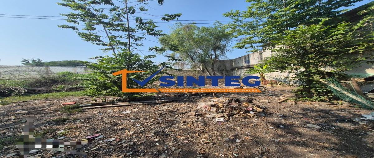 Foto de terreno habitacional en venta en  , palmar, papantla, veracruz de ignacio de la llave, 0 No. 03