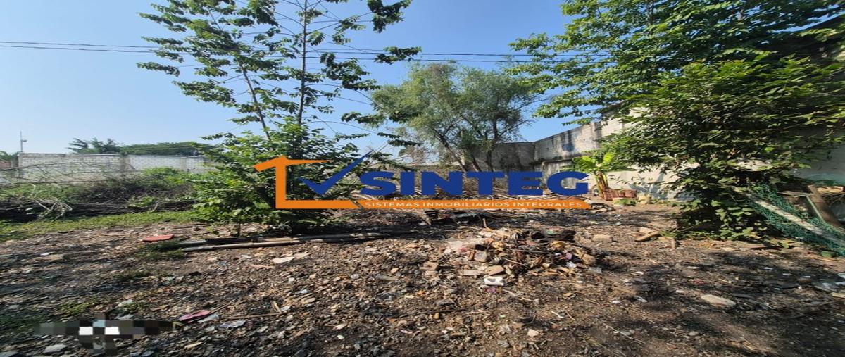Foto de terreno habitacional en venta en  , palmar, papantla, veracruz de ignacio de la llave, 0 No. 04