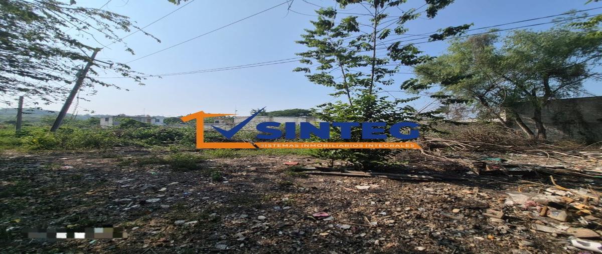 Foto de terreno habitacional en venta en  , palmar, papantla, veracruz de ignacio de la llave, 0 No. 05