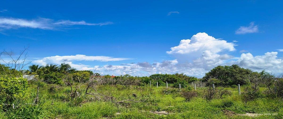 Foto de terreno habitacional en palmaréa , san diego, dzemul, yucatán, 0 foto 05 Foto de terreno habitacional en venta en palmaréa , san diego, dzemul, yucatán, 0 No. 05