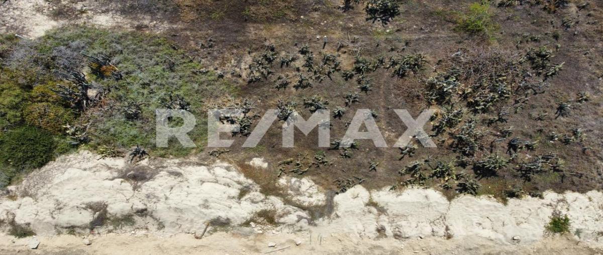 Foto de terreno habitacional en venta en palmarito , puerto escondido (puerto escondido), san pedro mixtepec -dto. 22 -, oaxaca, 0 No. 05