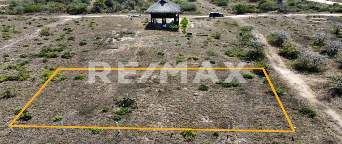 Foto de terreno habitacional en venta en palmarito , puerto escondido (puerto escondido), san pedro mixtepec -dto. 22 -, oaxaca, 0 No. 03