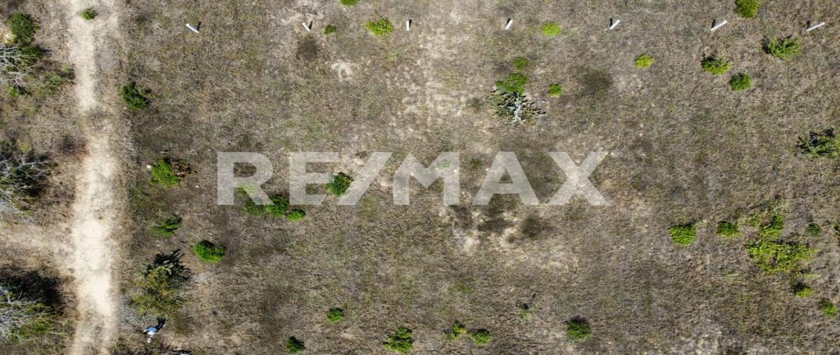 Foto de terreno habitacional en venta en palmarito , puerto escondido (puerto escondido), san pedro mixtepec -dto. 22 -, oaxaca, 0 No. 04