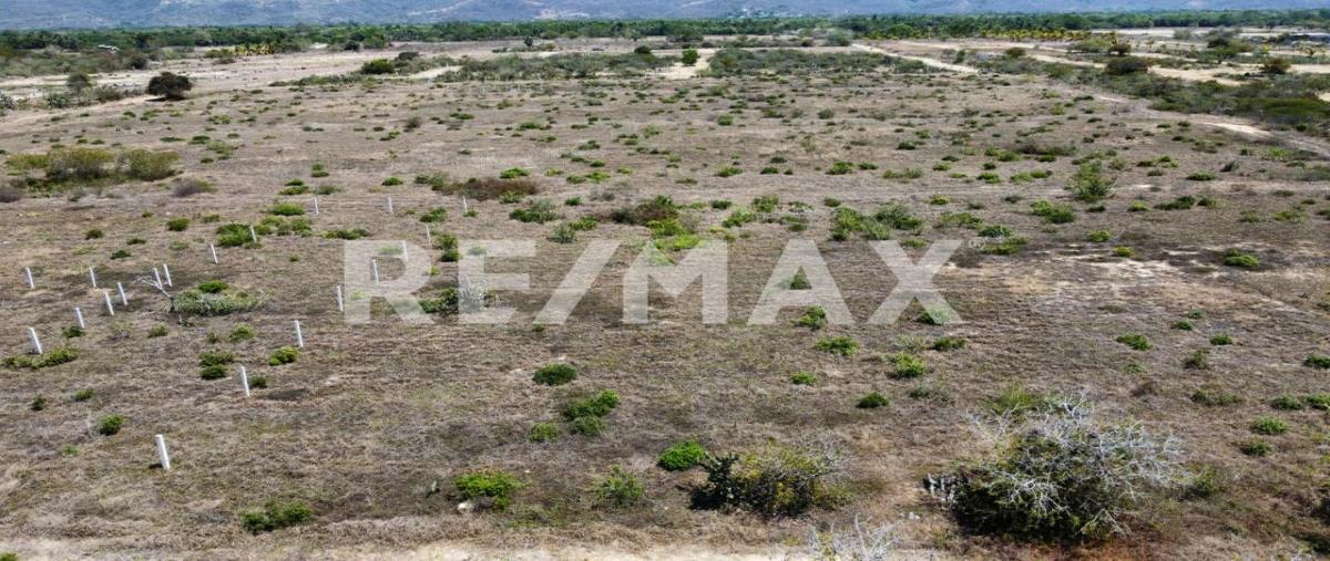 Foto de terreno habitacional en venta en palmarito , puerto escondido (puerto escondido), san pedro mixtepec -dto. 22 -, oaxaca, 0 No. 05