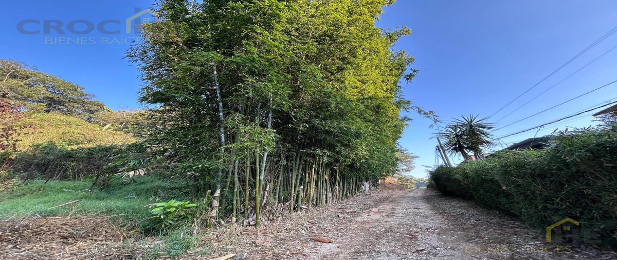 Foto de terreno habitacional en , palmas de abajo, actopan, veracruz de ignacio de la llave, 0 foto 03 Foto de terreno habitacional en venta en , palmas de abajo, actopan, veracruz de ignacio de la llave, 0 No. 03