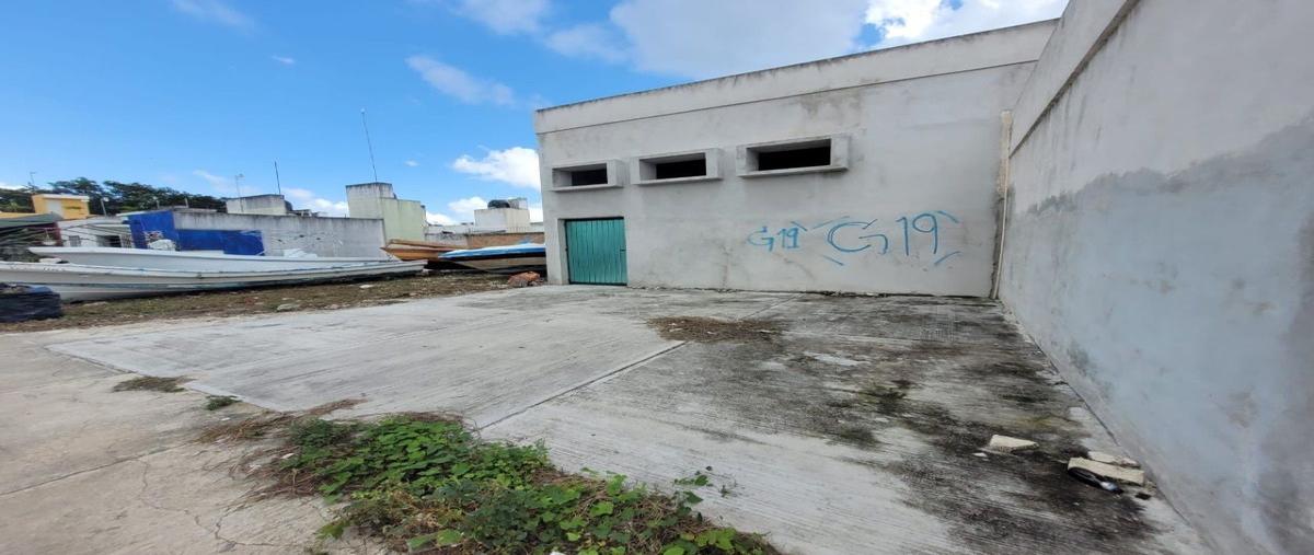 Foto de local en palmas , las palmas, tulum, quintana roo, 27746784 foto 03 Foto de local en renta en palmas , las palmas, tulum, quintana roo, 27746784 No. 03