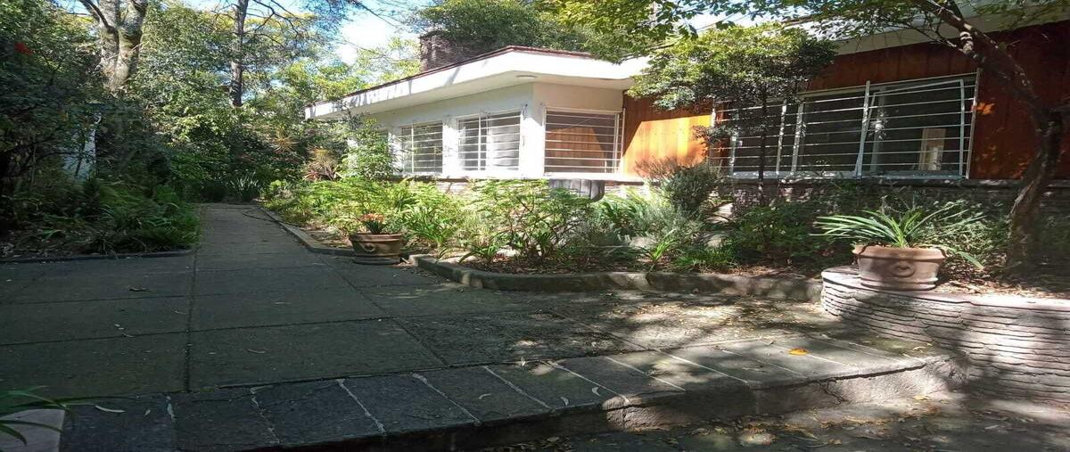 Foto de casa en renta en palmas , lomas de chapultepec i sección, miguel hidalgo, df / cdmx, 29091986 No. 04