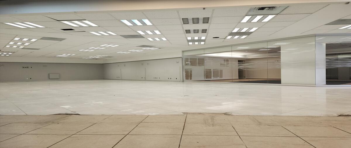 Foto de local en renta en palmas , lomas de chapultepec iii sección, miguel hidalgo, df / cdmx, 30524705 No. 05
