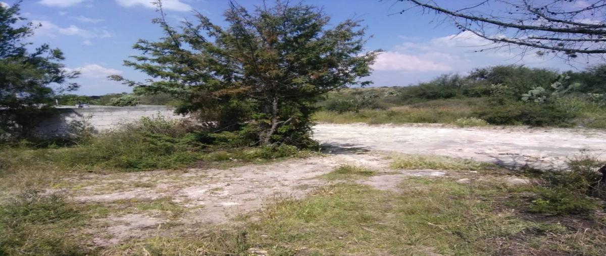 Foto de terreno habitacional en venta en  , palmillas, san juan del río, querétaro, 28031557 No. 04