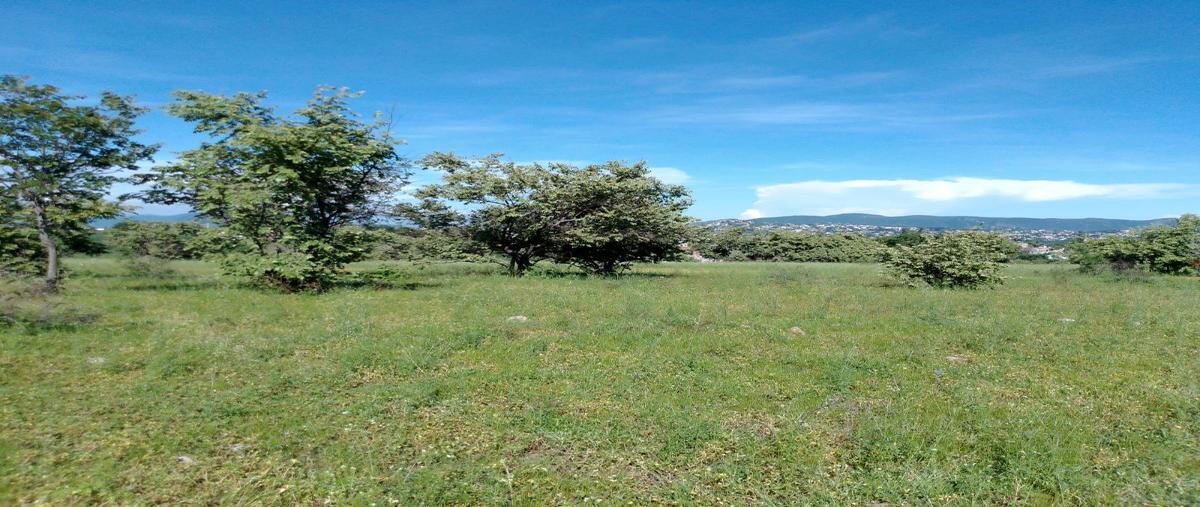 Foto de terreno habitacional en venta en palmira , la unión, cuernavaca, morelos, 27685384 No. 03