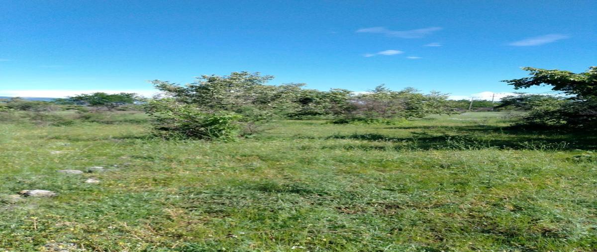 Foto de terreno habitacional en venta en palmira , la unión, cuernavaca, morelos, 27685384 No. 04