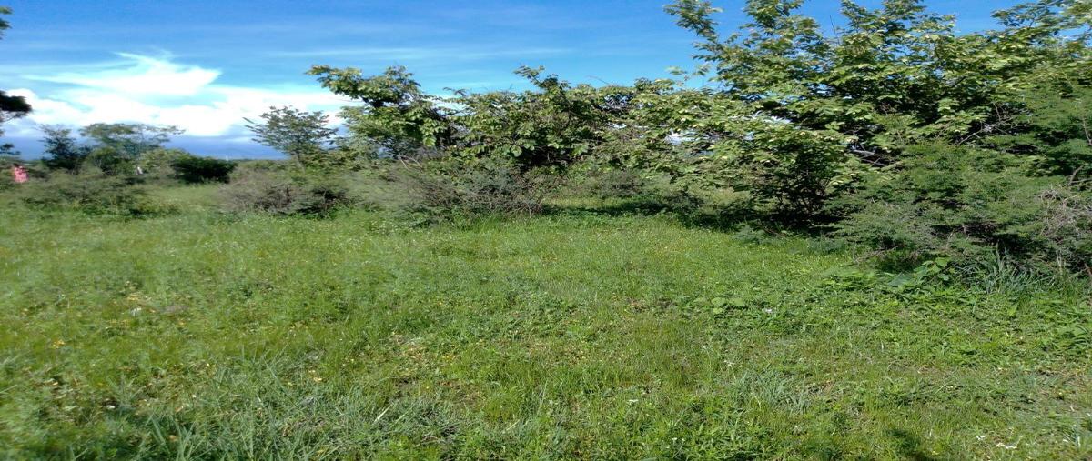 Foto de terreno habitacional en venta en palmira , la unión, cuernavaca, morelos, 27685384 No. 05