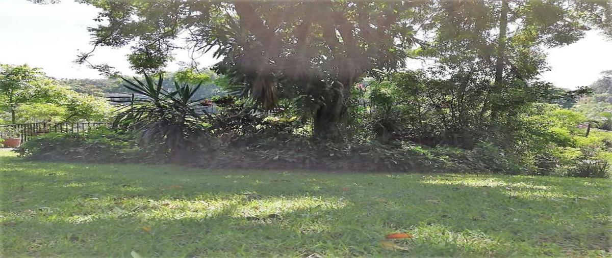 Foto de casa en venta en  , palmira tinguindin, cuernavaca, morelos, 0 No. 01