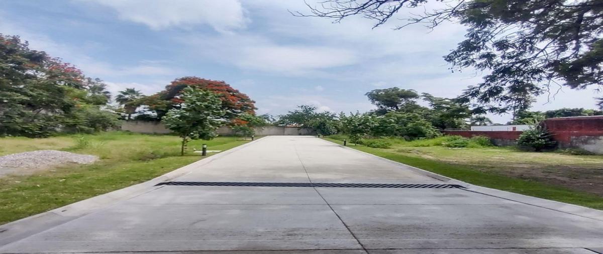 Foto de terreno habitacional en venta en  , palmira tinguindin, cuernavaca, morelos, 0 No. 04