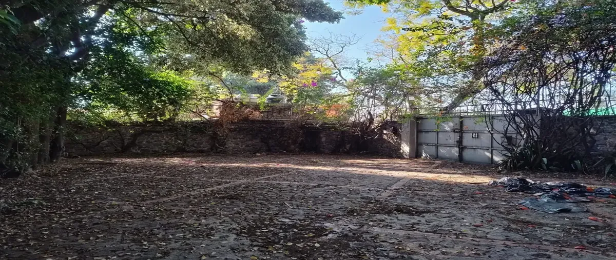 Foto de terreno habitacional en venta en  , palmira tinguindin, cuernavaca, morelos, 0 No. 05