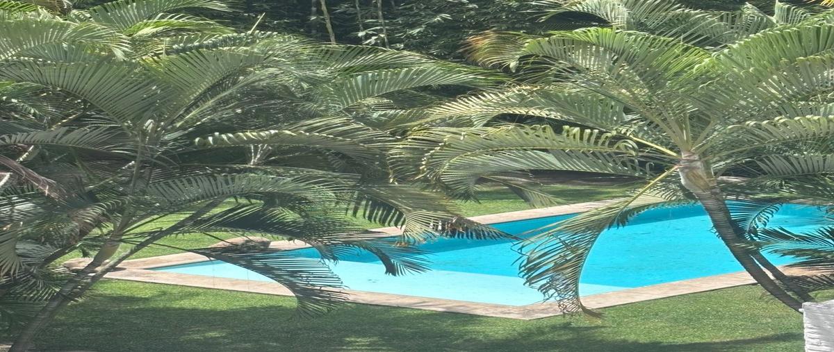 Foto de departamento en venta en  , palmira tinguindin, cuernavaca, morelos, 0 No. 04