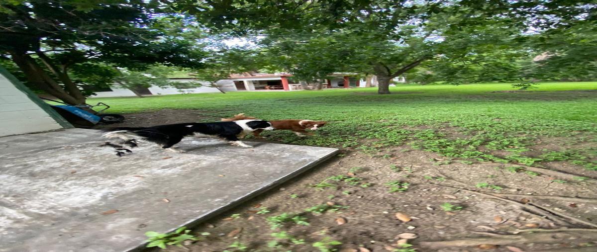 Foto de rancho en venta en palmitos , los palmitos, cadereyta jiménez, nuevo león, 28284305 No. 04