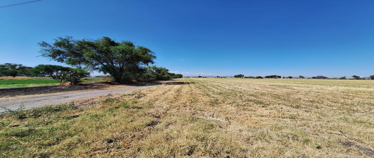 Foto de terreno comercial en palo alto el marques , palo alto, el marqués, querétaro, 29742421 foto 03 Foto de terreno comercial en venta en palo alto el marques , palo alto, el marqués, querétaro, 29742421 No. 03