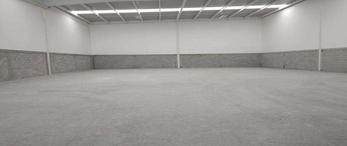 Foto de nave industrial en renta en palo alto , palo alto, querétaro, querétaro, 25794080 No. 05