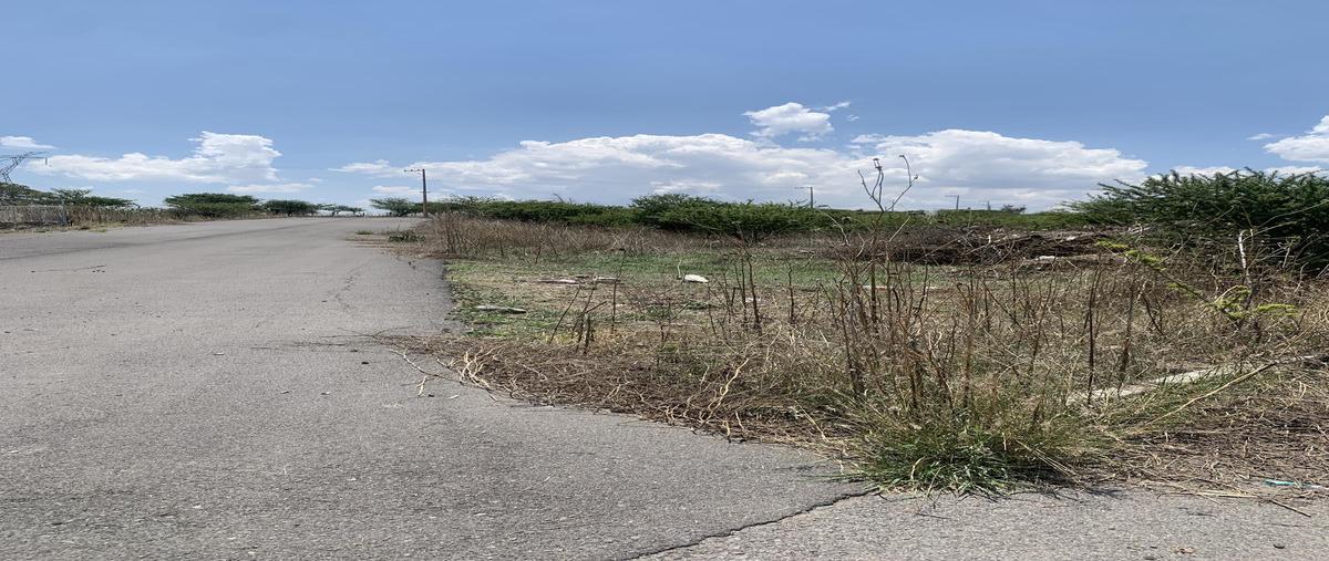 Foto de terreno industrial en venta en  , palo alto, querétaro, querétaro, 0 No. 05