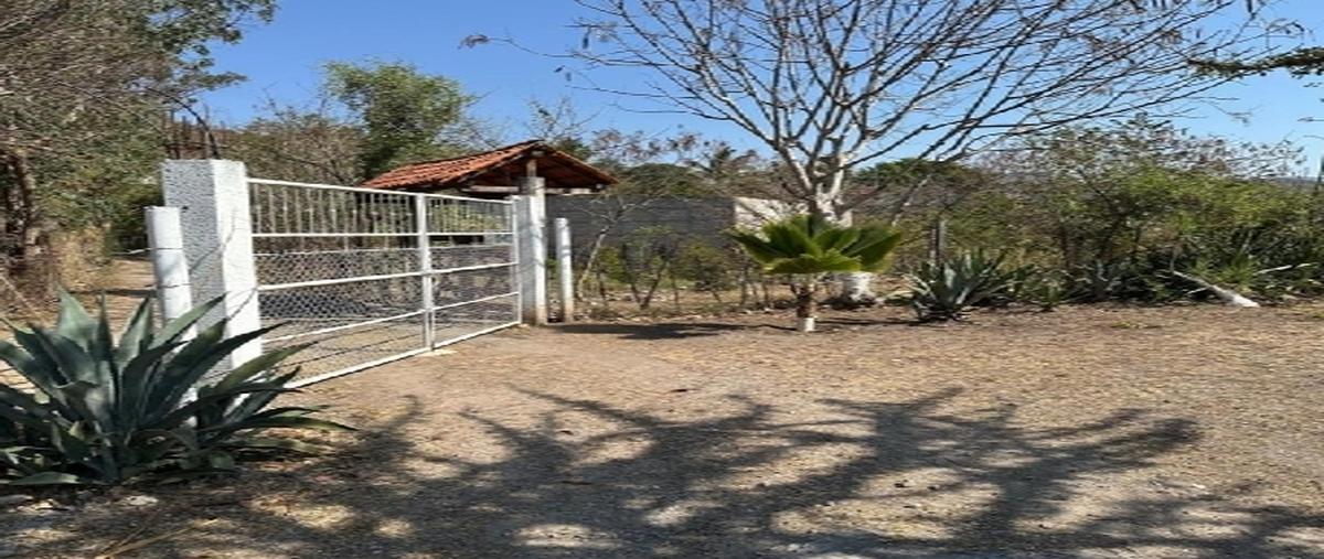 Foto de terreno habitacional en , palo blanco, chilpancingo de los bravo, guerrero, 0 foto 02 Foto de terreno habitacional en venta en , palo blanco, chilpancingo de los bravo, guerrero, 0 No. 02