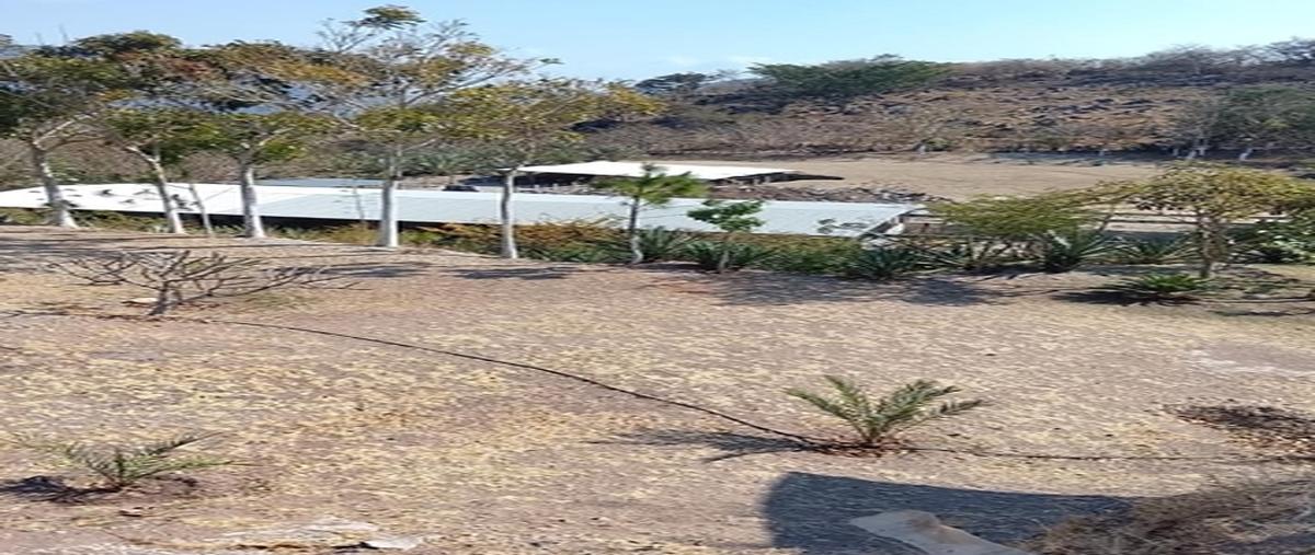 Foto de terreno habitacional en , palo blanco, chilpancingo de los bravo, guerrero, 0 foto 03 Foto de terreno habitacional en venta en , palo blanco, chilpancingo de los bravo, guerrero, 0 No. 03