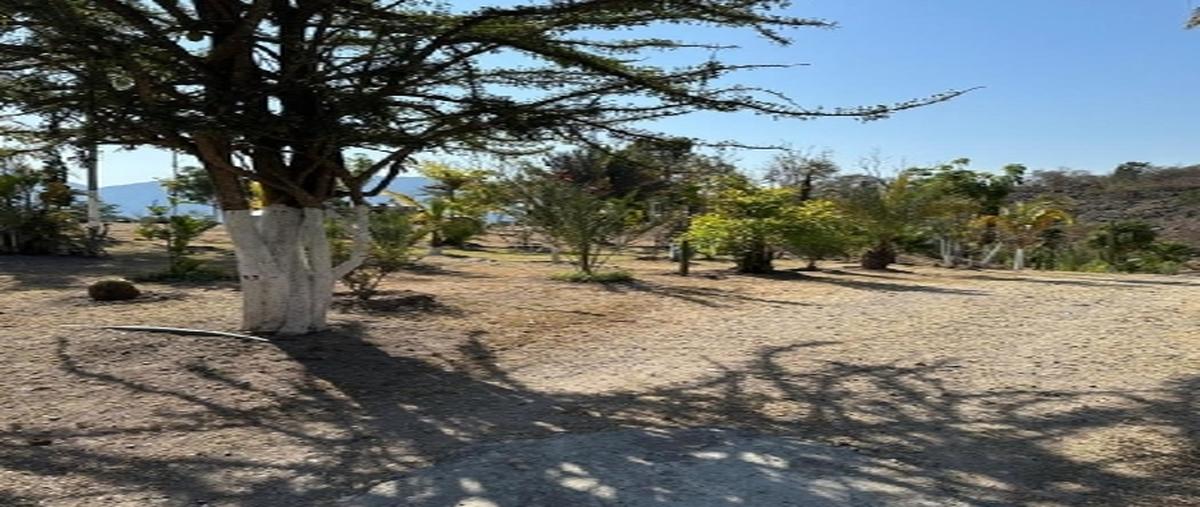 Foto de terreno habitacional en , palo blanco, chilpancingo de los bravo, guerrero, 0 foto 04 Foto de terreno habitacional en venta en , palo blanco, chilpancingo de los bravo, guerrero, 0 No. 04