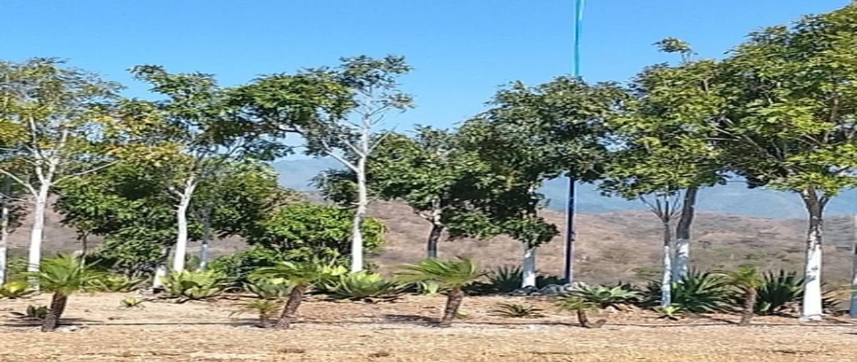 Foto de terreno habitacional en , palo blanco, chilpancingo de los bravo, guerrero, 0 foto 05 Foto de terreno habitacional en venta en , palo blanco, chilpancingo de los bravo, guerrero, 0 No. 05