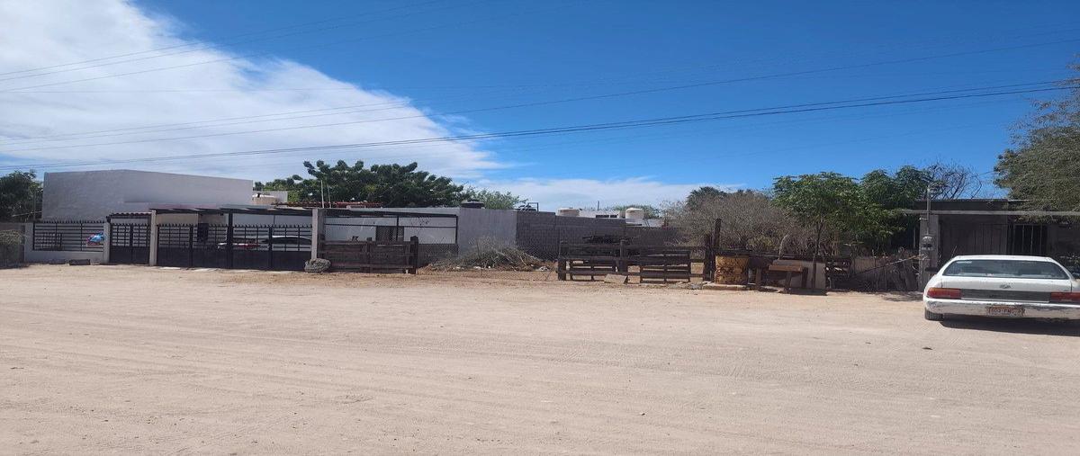 Foto de terreno habitacional en venta en palo de arco , el centenario, la paz, baja california sur, 0 No. 03