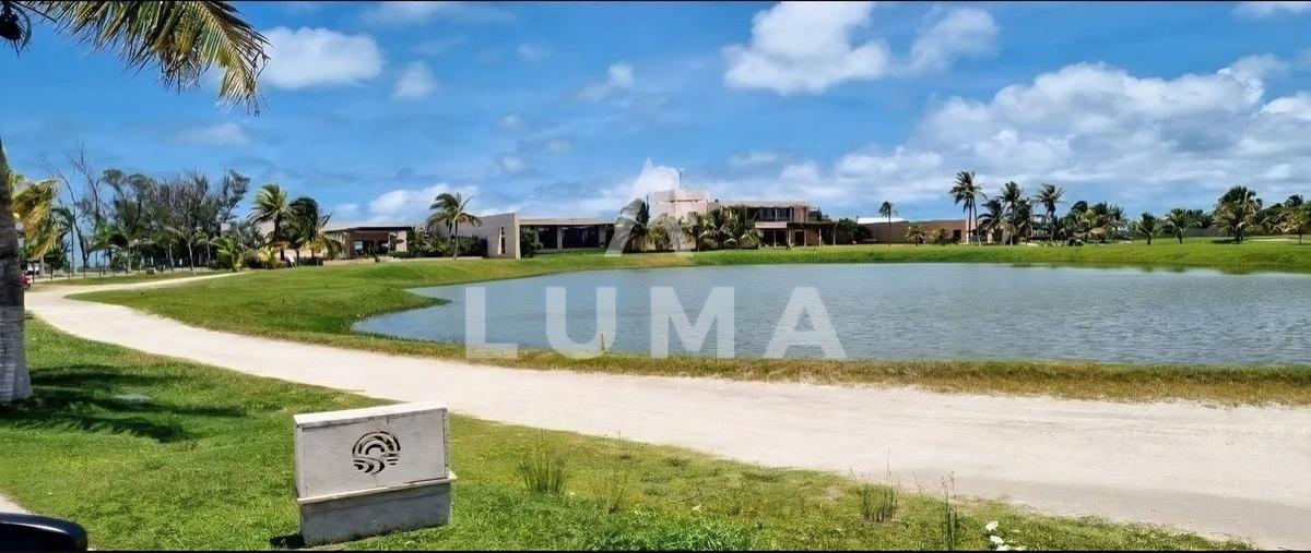 Foto de terreno habitacional en venta en palo de tinte , playa palmas, carmen, campeche, 0 No. 05