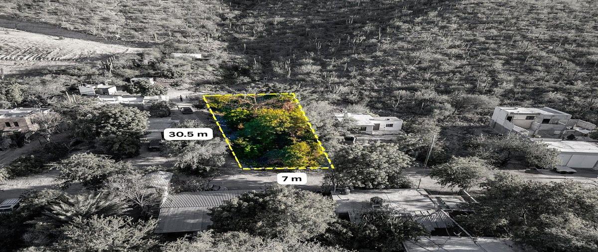 Foto de terreno habitacional en venta en palo escopeta , cardonal, la paz, baja california sur, 30791430 No. 03