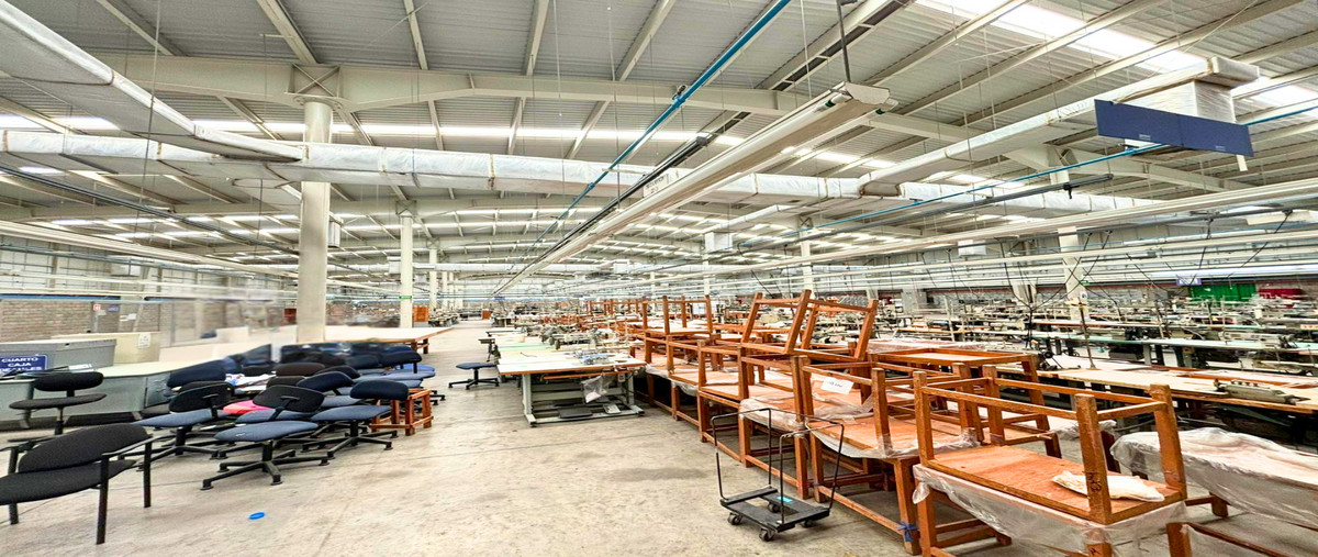 Foto de nave industrial en renta en  , palo escrito (colonia benito juárez), emiliano zapata, morelos, 29070598 No. 04